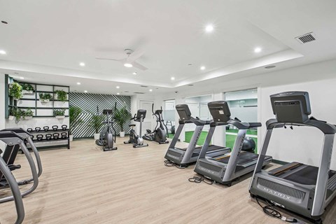 A gym with treadmills, weights, and other exercise equipment.