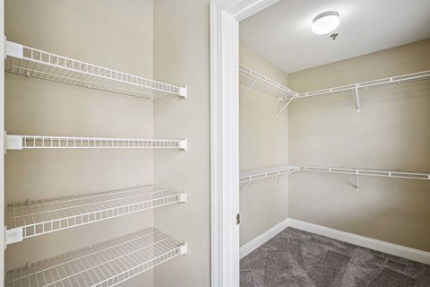 A walk-in closet with white shelving and a carpeted floor.