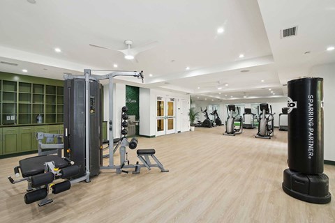 A gym with a variety of equipment including a squat rack, a leg press machine, and a bench press.