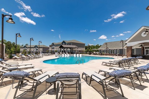 A pool surrounded by sun loungers and umbrellas.