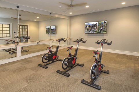 Spin bikes in fitness room