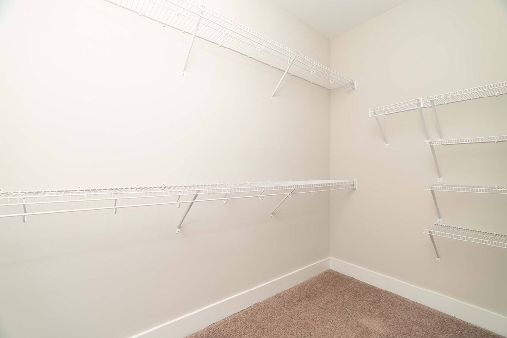 Empty room with white walls and shelves.