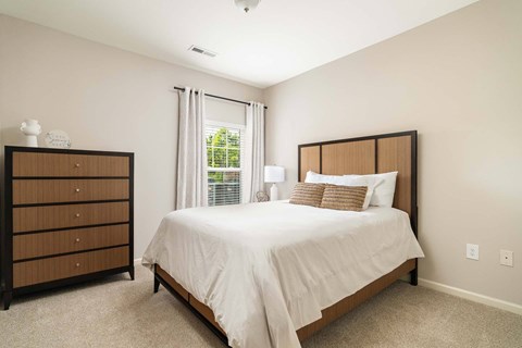 Guest Bedroom with a Walk in Closet.