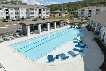 Sparkling swimming pool with in-pool tanning ledges and two designated swimming lanes