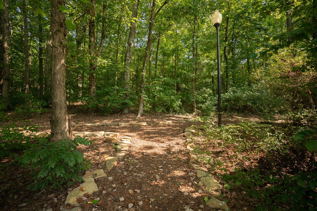Vintage Creekwood Park Outdoor Trails