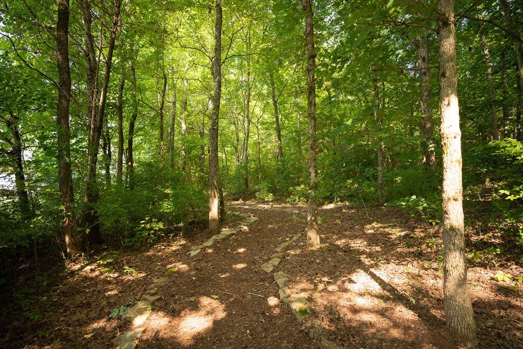 Vintage Creekwood Park Outdoor Trails