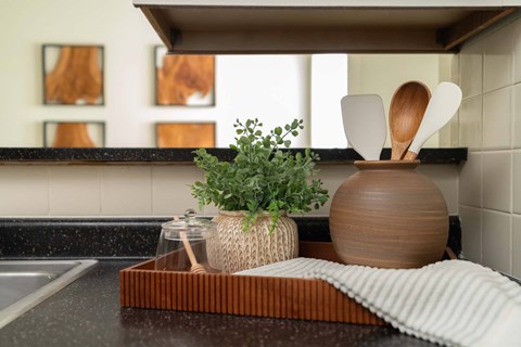 A kitchen counter with a plant, wooden utensils, and a jar.