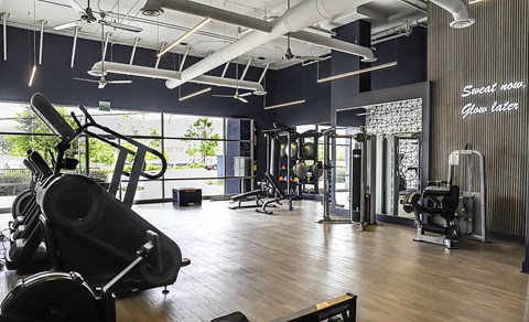 A gym with a variety of equipment including treadmills, weights, and a squat rack.