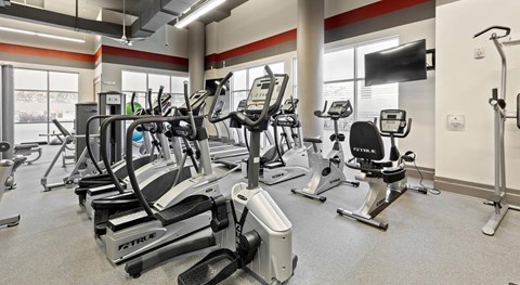 Luxury Apartments Near Clearwater Beach in Tampa, FL - Mosaic Westshore - A bright, modern fitness center with multiple TRUE ellipticals, stationary bikes, and treadmills under high ceilings.
