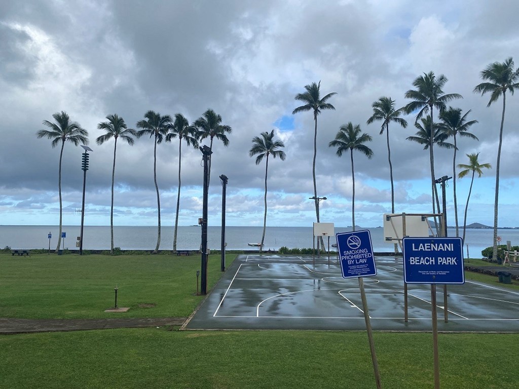 a park with palm trees and the ocean in the background