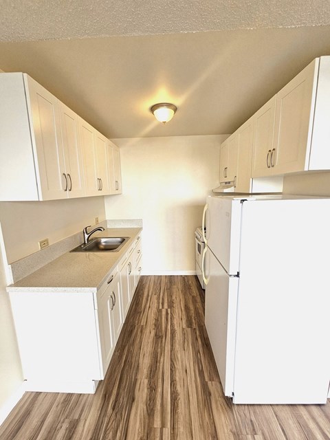 a kitchen with white cabinets and a refrigerator and a sink