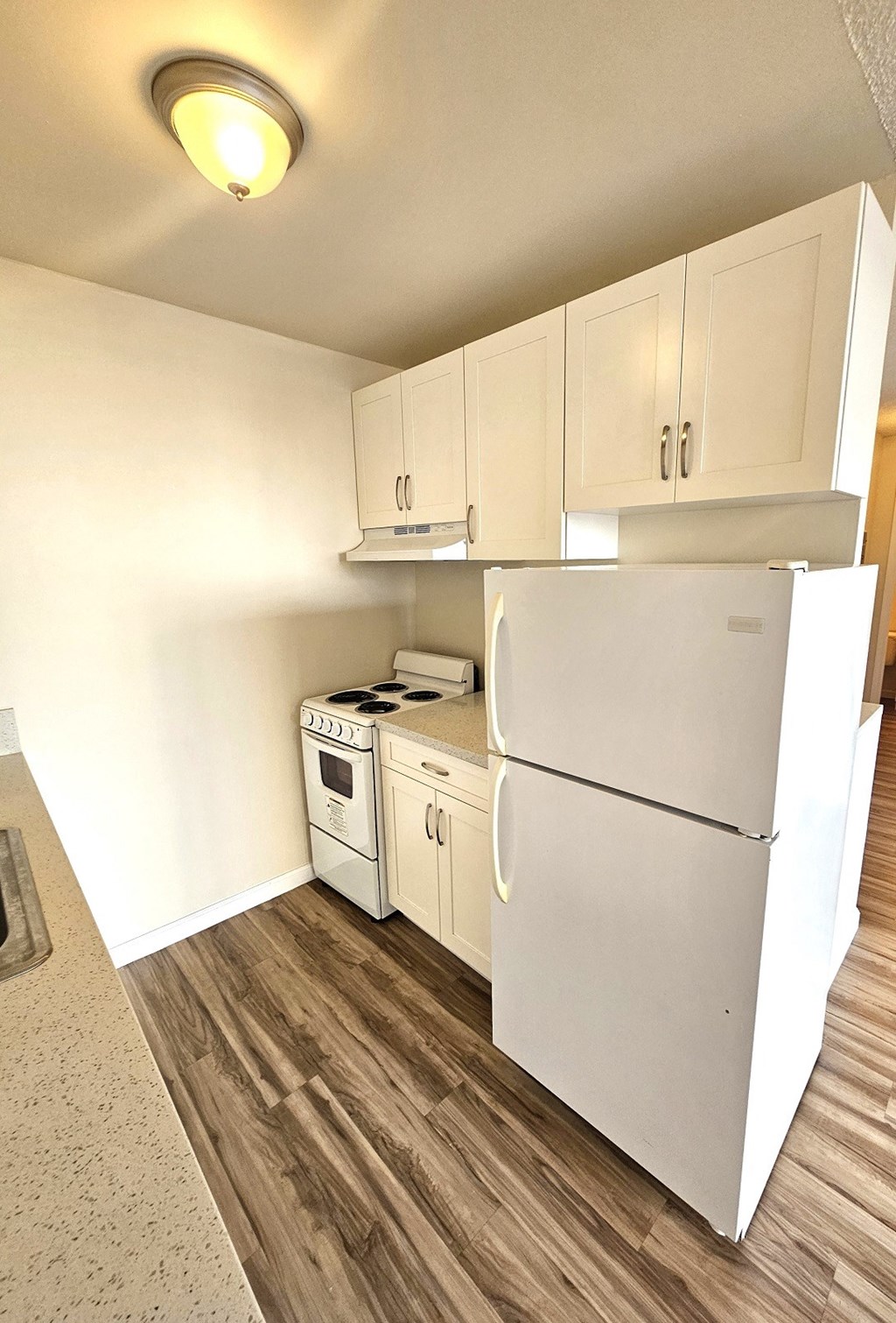 a kitchen with a refrigerator and a stove and