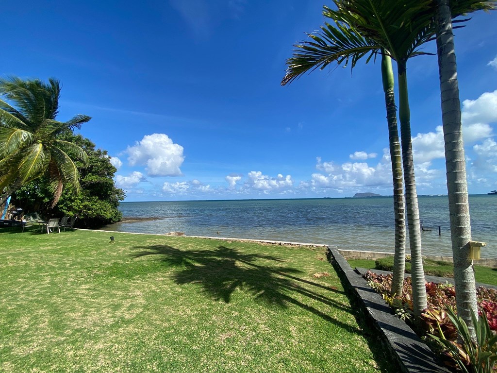 a view of the ocean from a backyard with palm trees