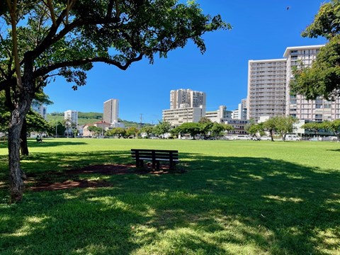 A park with a bench and trees in the foreground and buildings in the background.