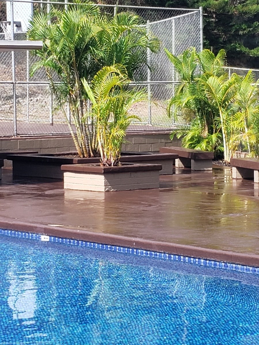 a swimming pool with a blue poolside fence in the background and a row of wooden benches