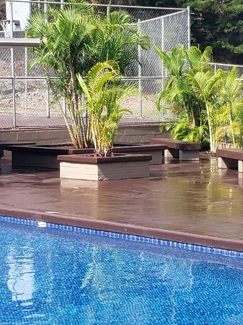 a swimming pool with some plants next to it