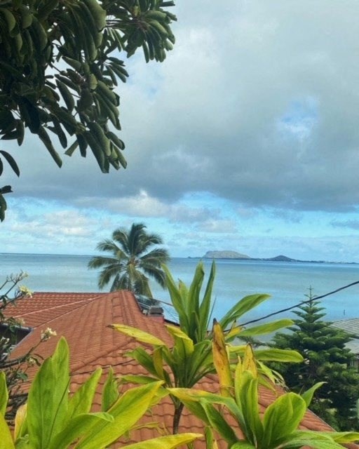 a view of the ocean from the roof of a house