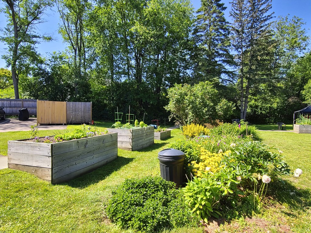 The resident garden boxes at Country Park filled with growing plants at the beginning of the summer season