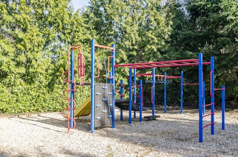 Summerlinn , West Linn, Playground