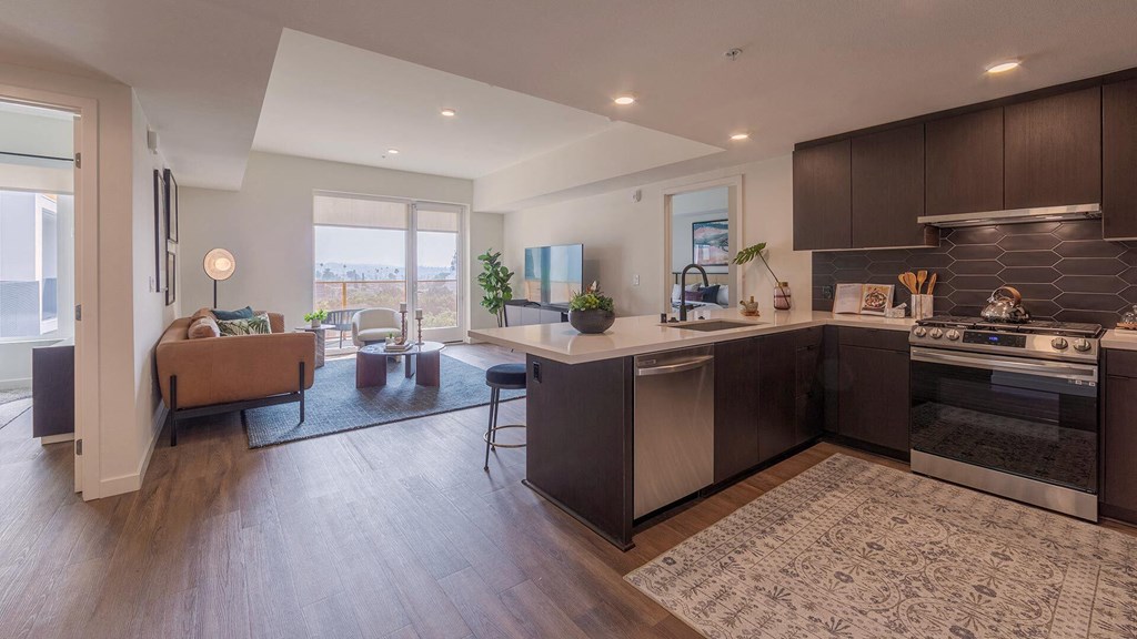 Ardence-B11m-kitchen-view-1