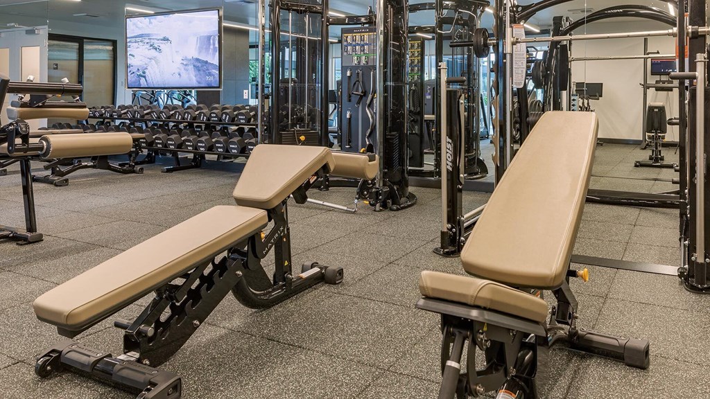 Ardence-fitness-view-2