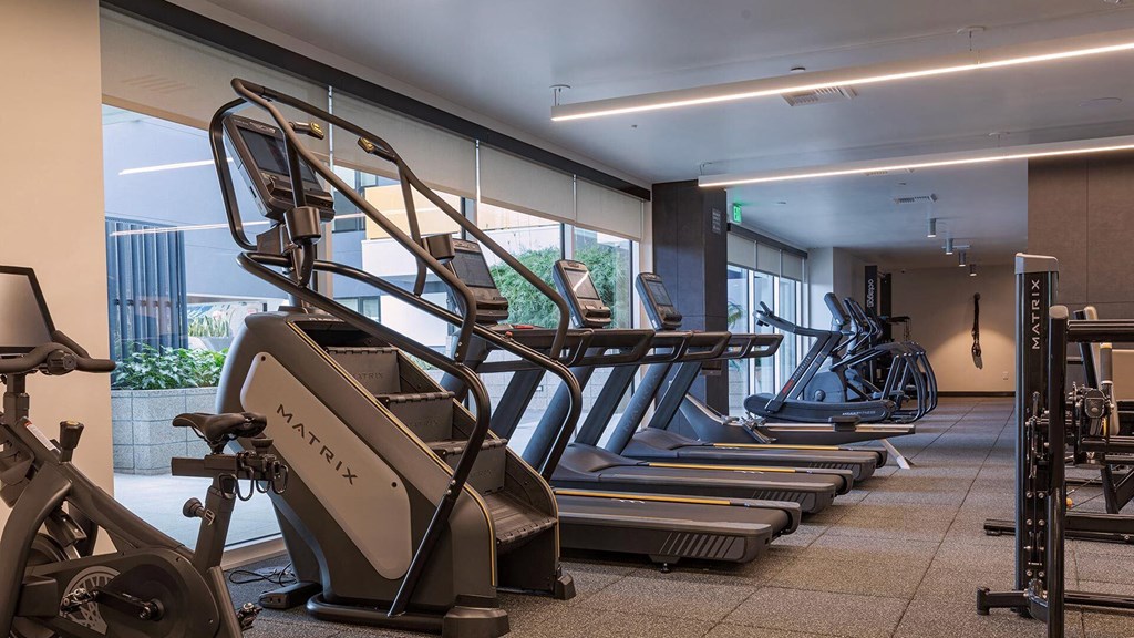 Ardence-fitness-view-3