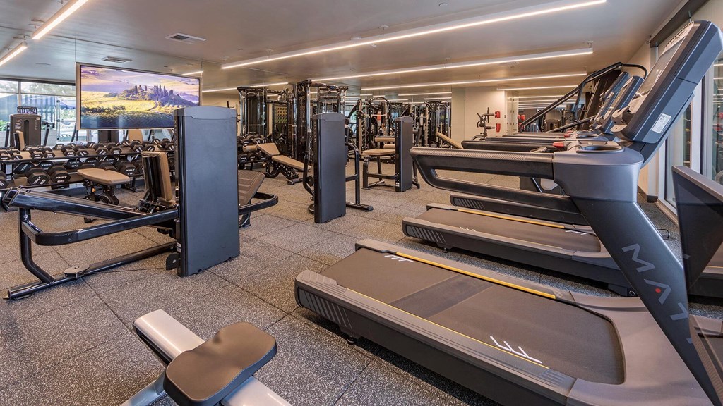 Ardence-fitness-view-4