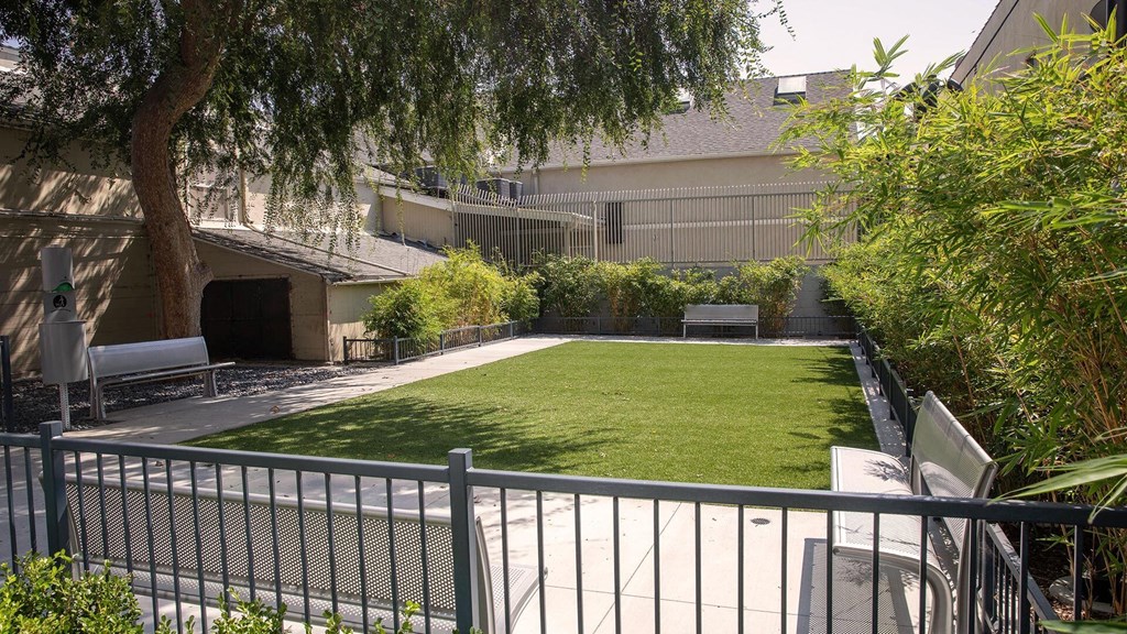 Ardence-pet-friendly-view-2