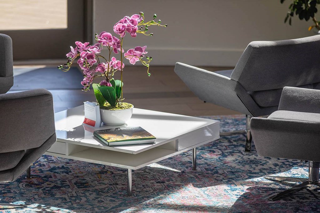 a coffee table with a potted plant and two chairs