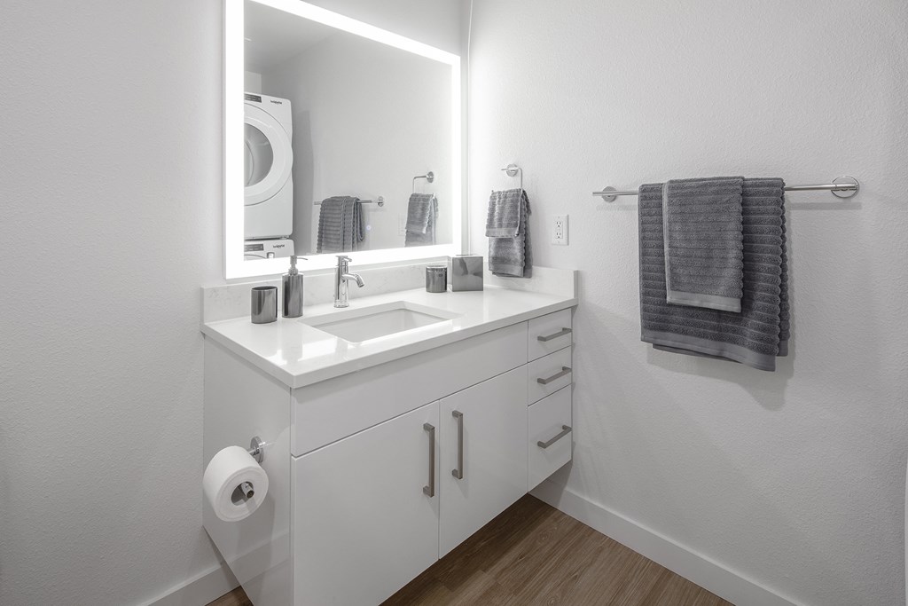 a bathroom with a sink and a mirror and a washing machine