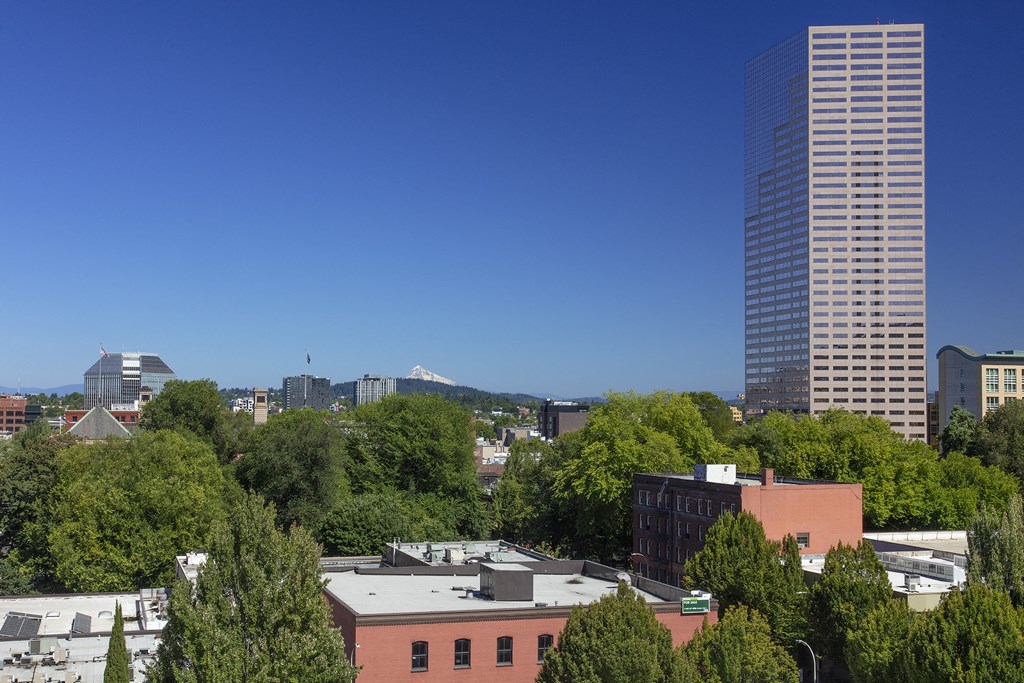 a view of the city from a skyscraper