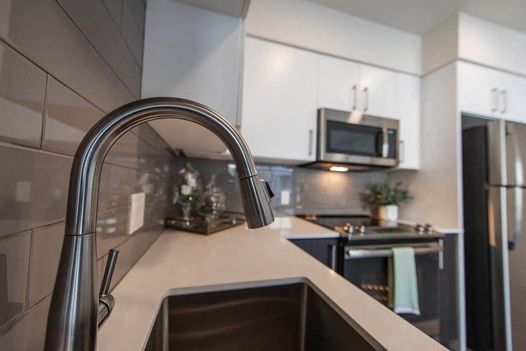 Stainless Faucets and Appliances