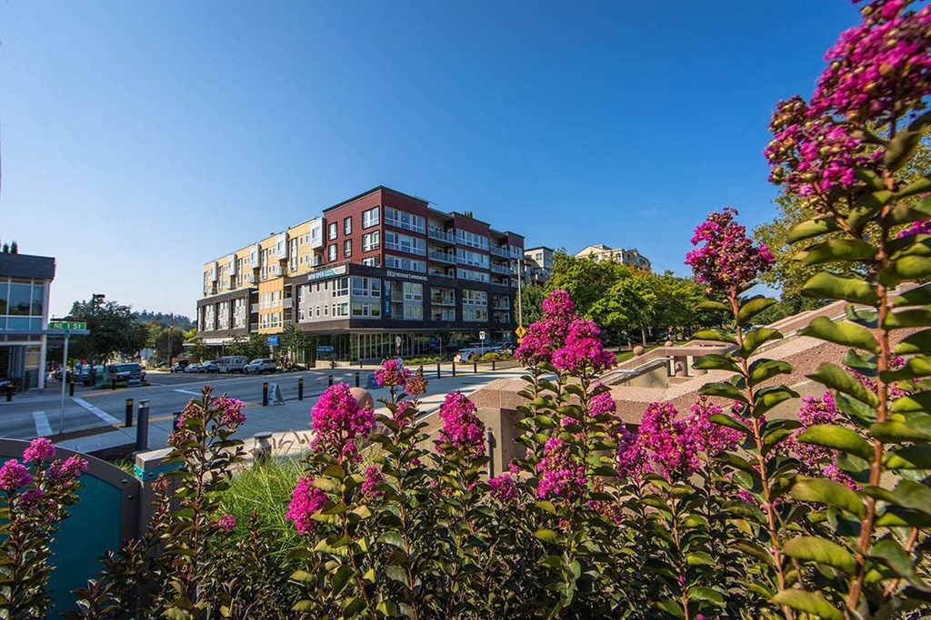 Blu Bellevue Apartments View from Park