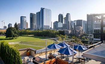 View from Rooftop of Bellevue - Photo Gallery 5