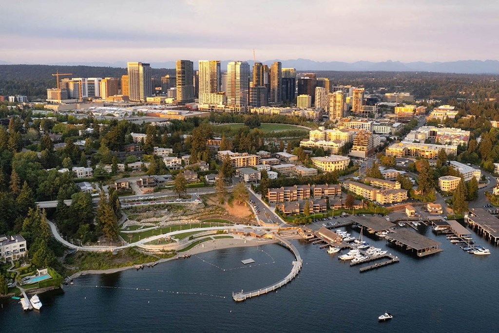 Bellevue Skyline View