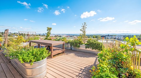 A wooden deck with a planter and bench overlooking a cityscape.