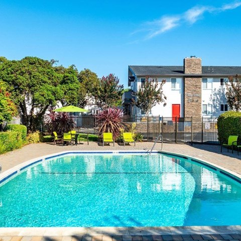 Marina Plaza Pool