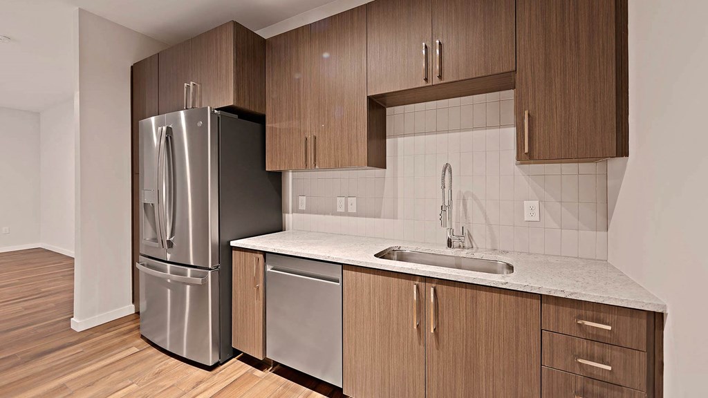 reve-apartments-lw1-kitchen-view.jpg