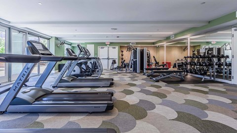 The Lark San Mateo Fitness Center Cardio and Weights