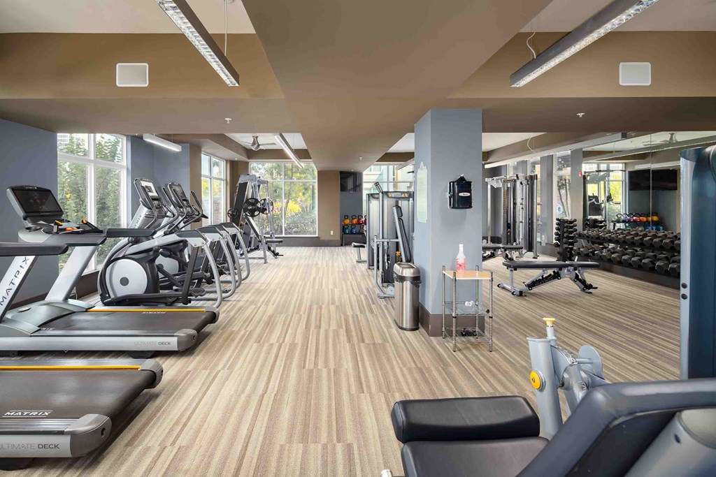 a gym with cardio equipment and weights on a wood floor