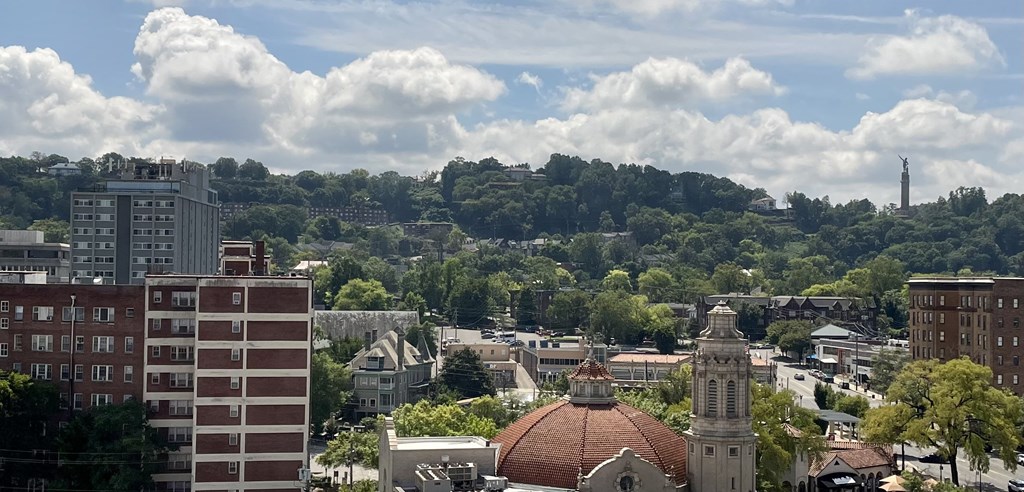 a cityscape with buildings and trees in the background