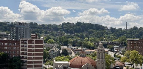 a cityscape with buildings and trees in the background at Tower on Tenth Apartments, Birmingham, AL, 35205