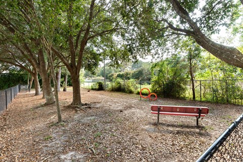 a bench in a park with trees