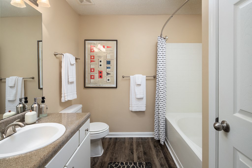 a bathroom with a sink toilet and shower and a bath tub