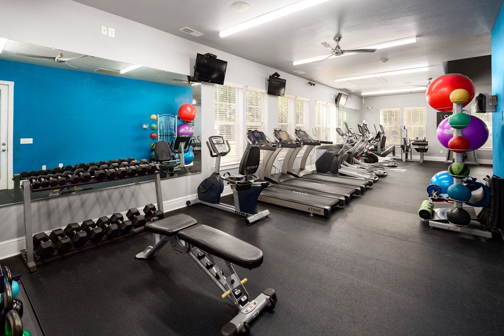 a fitness room with treadmills and weights and a blue wall