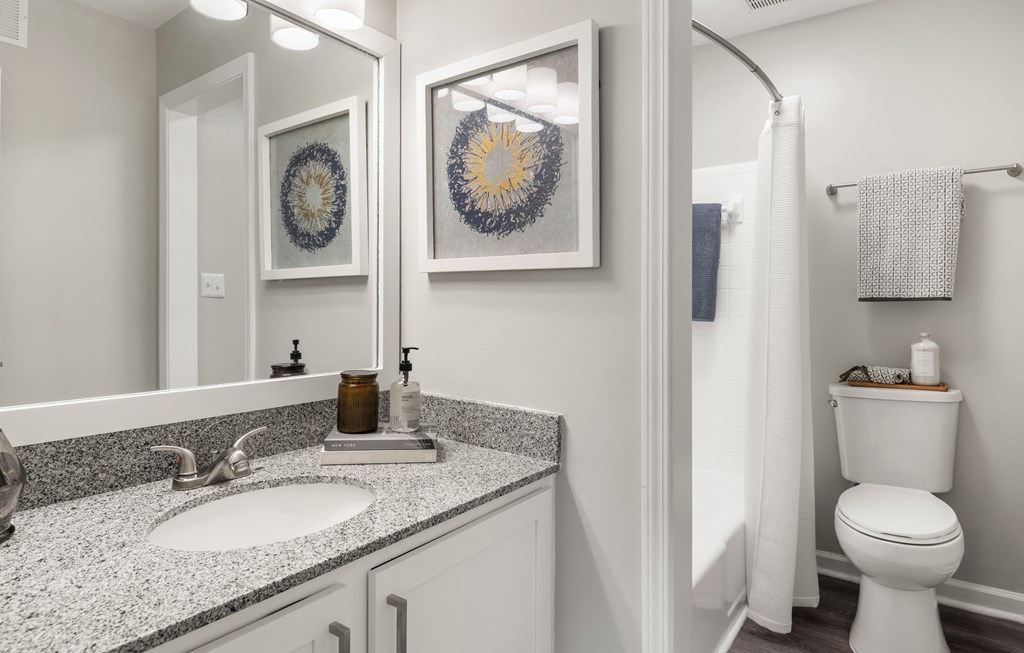 a bathroom with a mirror and a sink and a toilet