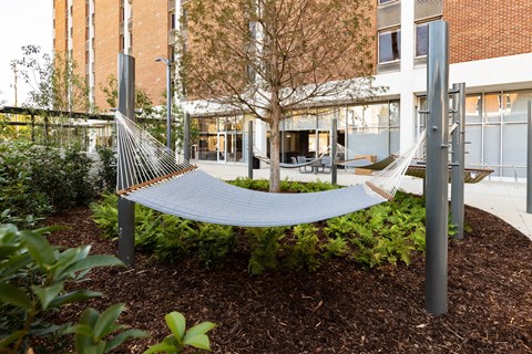 A hammock is suspended between two poles in a garden at Tower on Tenth Apartments, Birmingham, AL