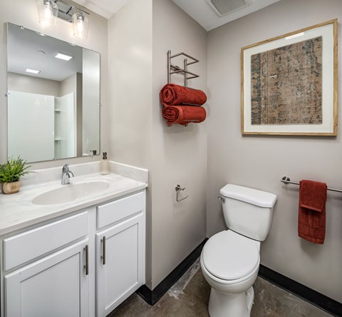 A bathroom with a toilet, sink, and a picture on the wall at Tower on Tenth Apartments, Alabama
