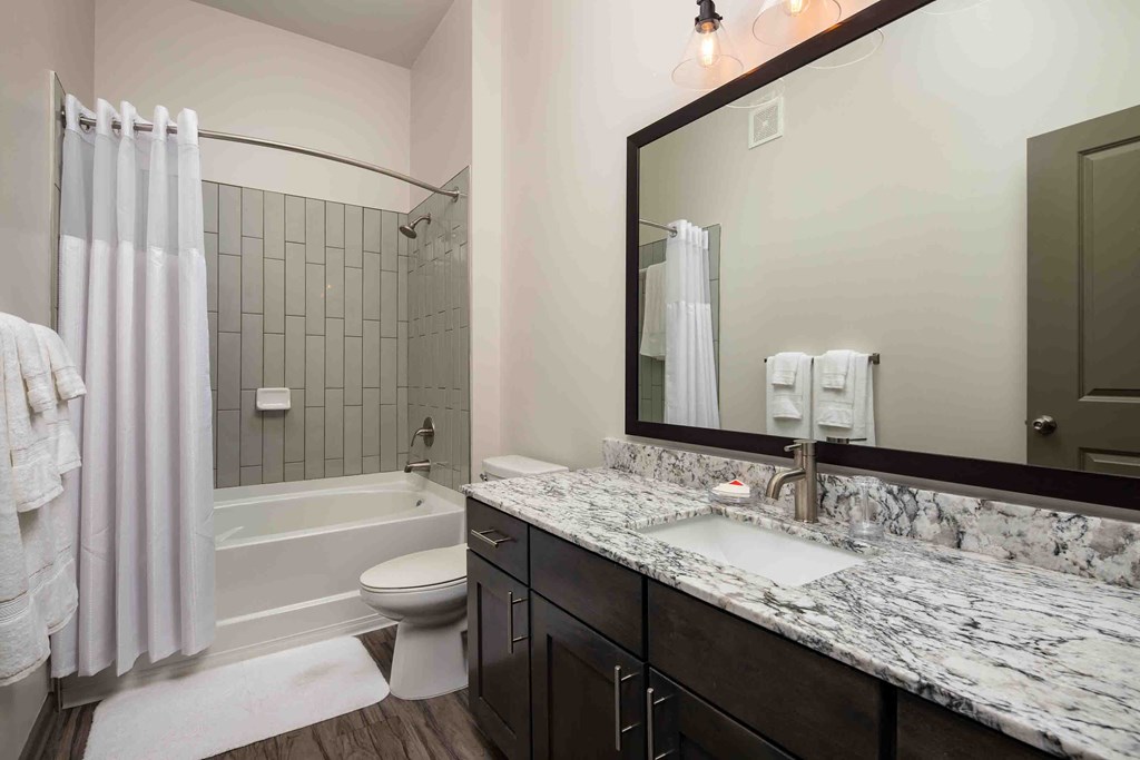 a bathroom with a sink and a toilet and a shower