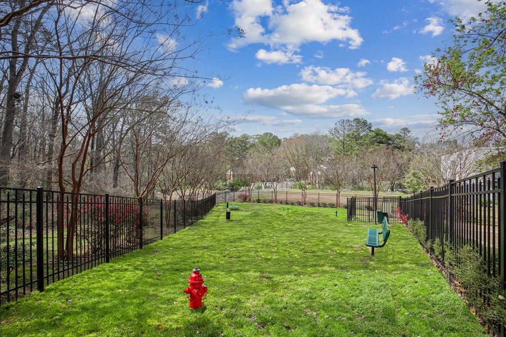 a yard with a red fire hydrant and a black fence